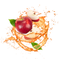 Splash Image