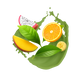 Splash Image
