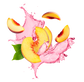 Splash Image