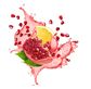 Splash Image