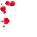 Raspberry / 30 x 5g V1