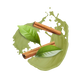 Splash Image