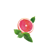 Grapefruit Mate Tea / 65ml