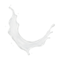 Splash Image