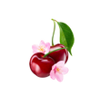 Cherry White Tea / 65ml