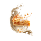 Splash Image